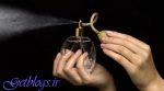 رایحهای که ممکن است سرطان را شکست دهد